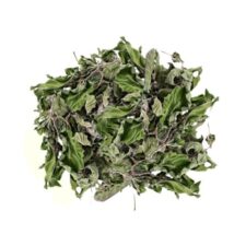 Natural Turkish Dry Mint