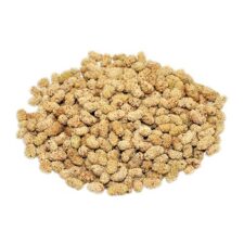 dried-seedless-mulberry