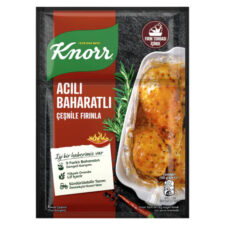 Knorr Hot Spicy Baked Chicken Seasoning 34g (1.19oz)