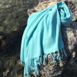 Petrified-Loincloth-Mint