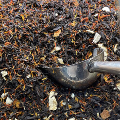 bergamot tea buy