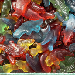 crocodile jelly buy