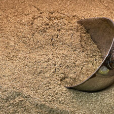 garam masala rice Spice buy