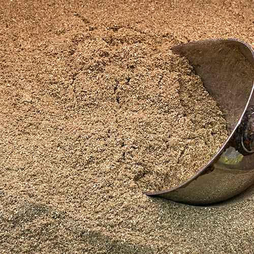 garam masala rice Spice buy