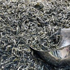 white tea buy